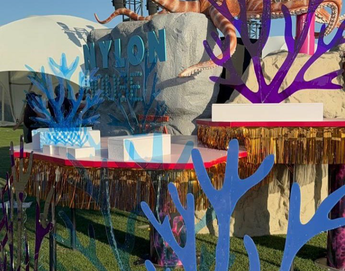 Coachella 2025 - VUKLER at the Desert Festival 2025, image 2